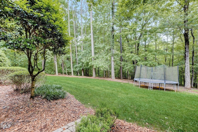 view of yard featuring a trampoline