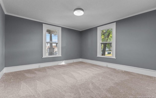 carpeted empty room featuring ornamental molding and a textured ceiling