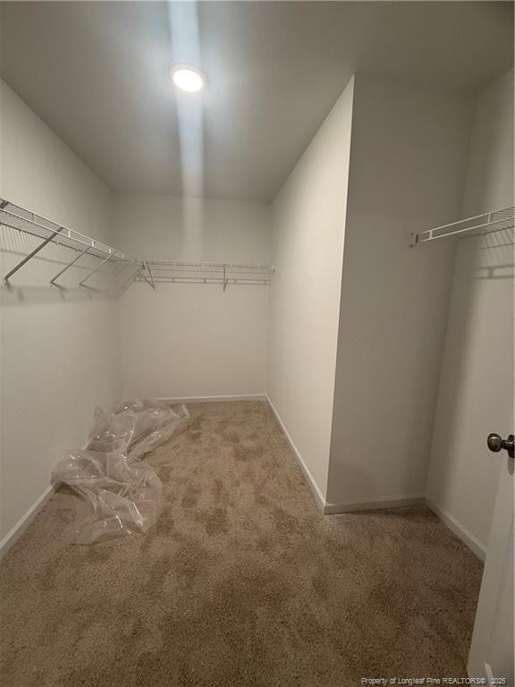 walk in closet with carpet