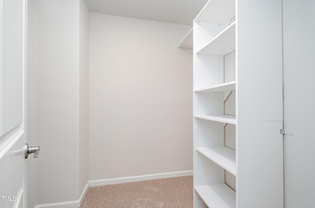 walk in closet with carpet flooring