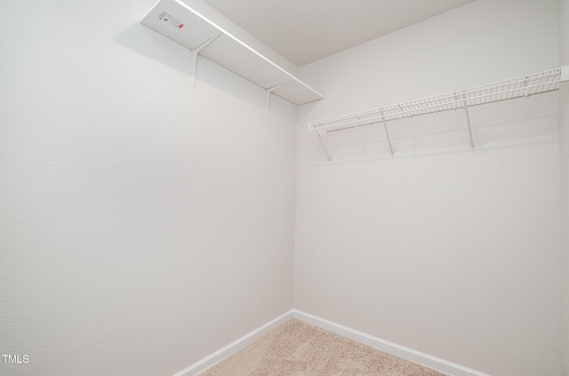 spacious closet with light colored carpet