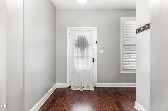 foyer entrance with dark hardwood / wood-style flooring