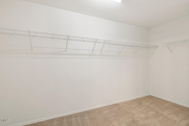 walk in closet featuring light colored carpet