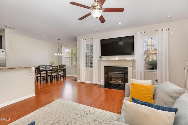 living room with hardwood / wood-style floors, ceiling fan with notable chandelier, and a healthy amount of sunlight