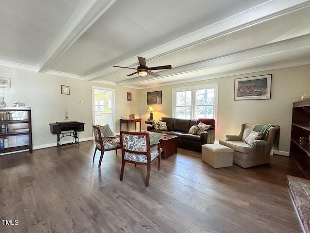 living room featuring beam ceiling, dark hardwood / wood-style flooring, ceiling fan, and crown molding