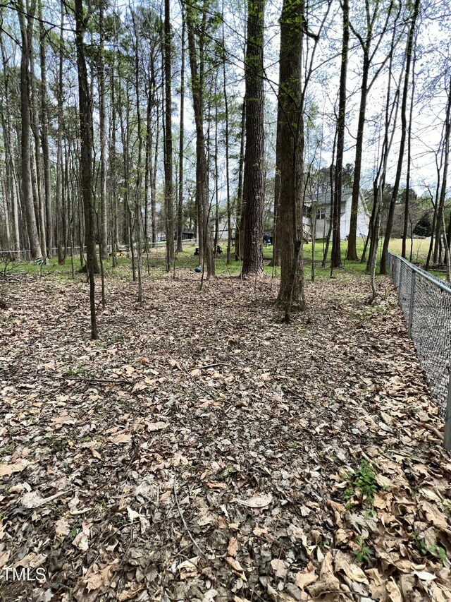 128 Madeline Ct, Youngsville, NC 27596 - photo 22