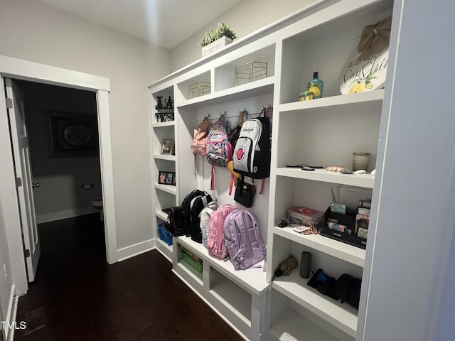 mudroom featuring dark hardwood / wood-style floors