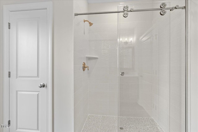 bathroom featuring a shower with door