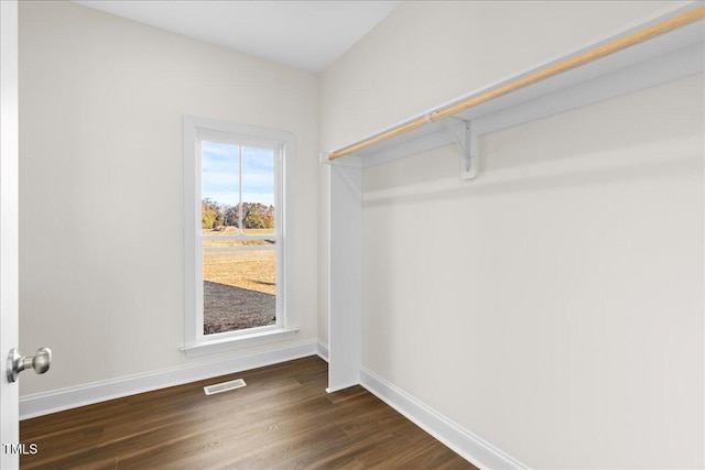 spacious closet with dark wood-type flooring