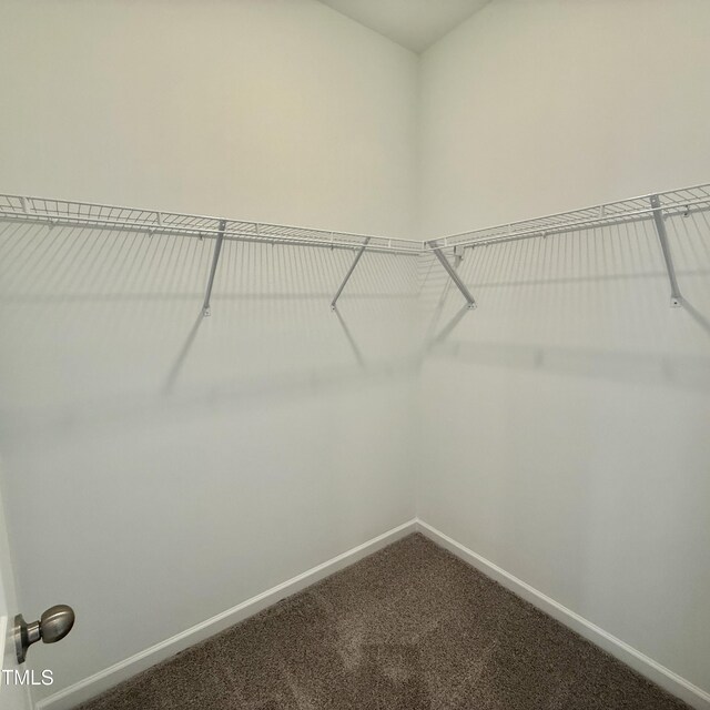 350 Tormore, Home, Sanford, NC 27330 - photo 22