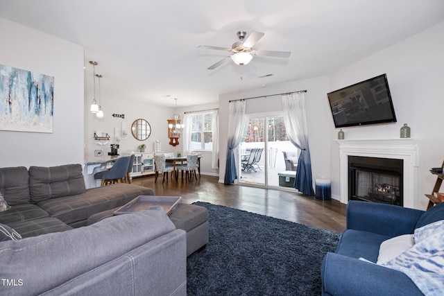 living room featuring dark hardwood / wood-style floors and ceiling fan with notable chandelier