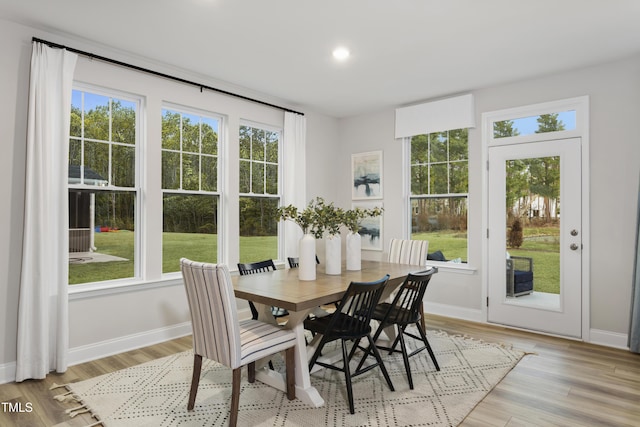 dining room with light wood-type flooring and a wealth of natural light