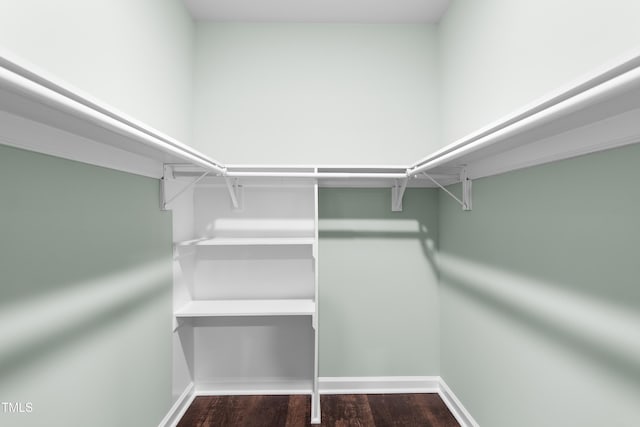 walk in closet featuring dark hardwood / wood-style floors