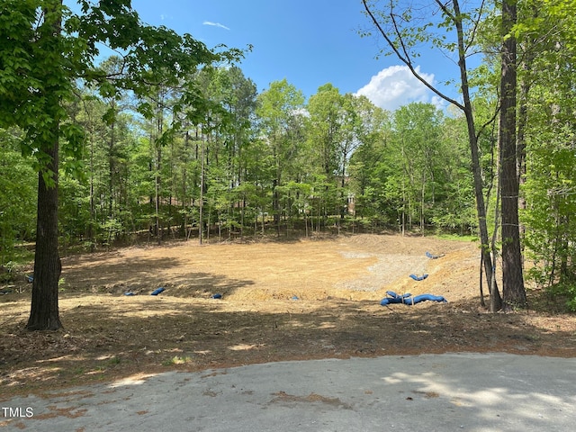 LOT5 Sidney Hl, Henderson, NC 27536 - photo 5