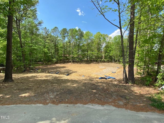 LOT5 Sidney Hl, Henderson, NC 27536 - photo 4