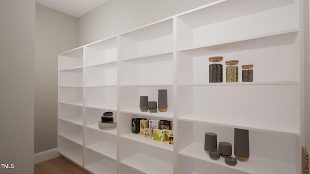 view of pantry