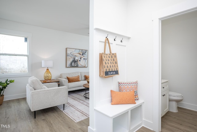 mudroom with light hardwood / wood-style flooring