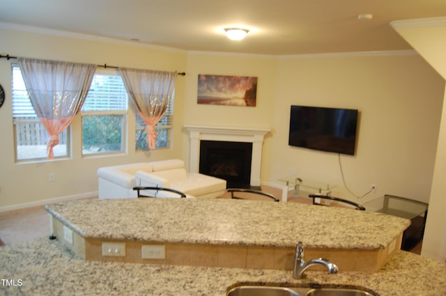 living room featuring carpet flooring, crown molding, and sink