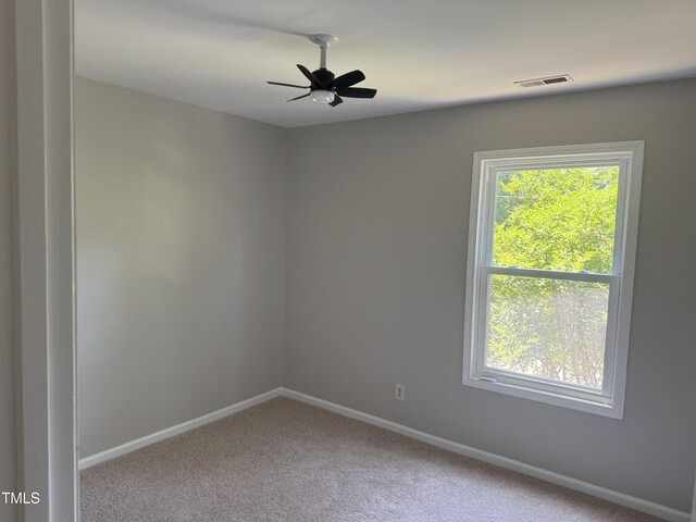 1017 Gaston Ave, Durham, NC 27707 - photo 10