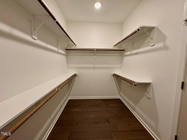 19 Covey Rise Way, Lillington, NC 27546 - spacious closet with dark wood-style flooring