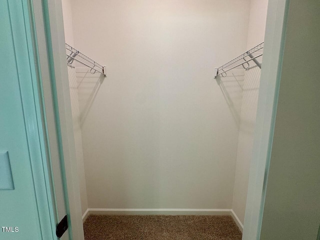 19 Covey Rise Way, Lillington, NC 27546 - spacious closet with carpet floors