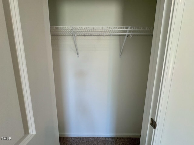 19 Covey Rise Way, Lillington, NC 27546 - view of closet