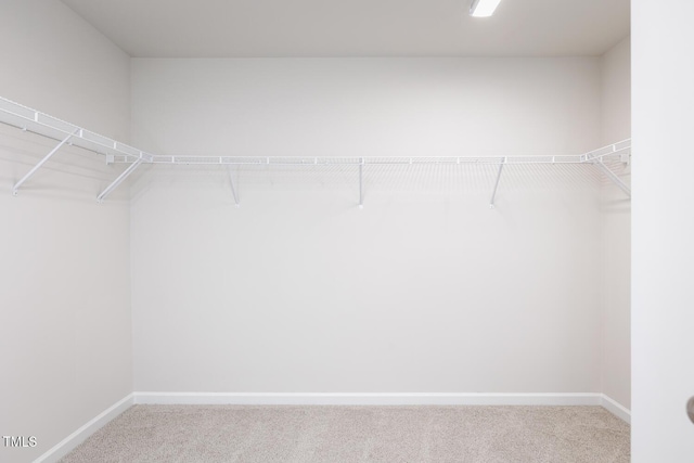 walk in closet featuring light colored carpet