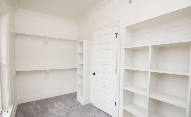 spacious closet featuring carpet