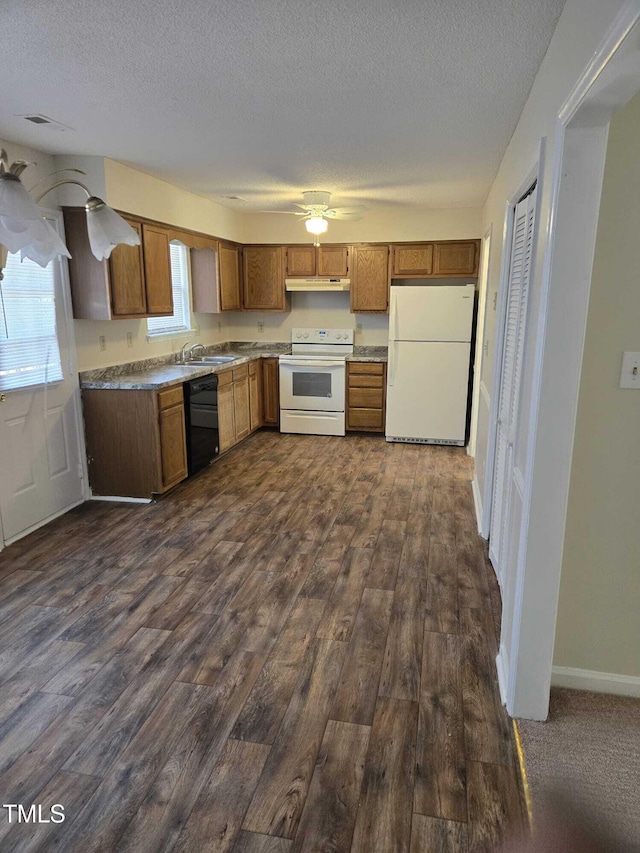 kitchen featuring dark hardwood / wood-style flooring, white appliances, a textured ceiling, and sink