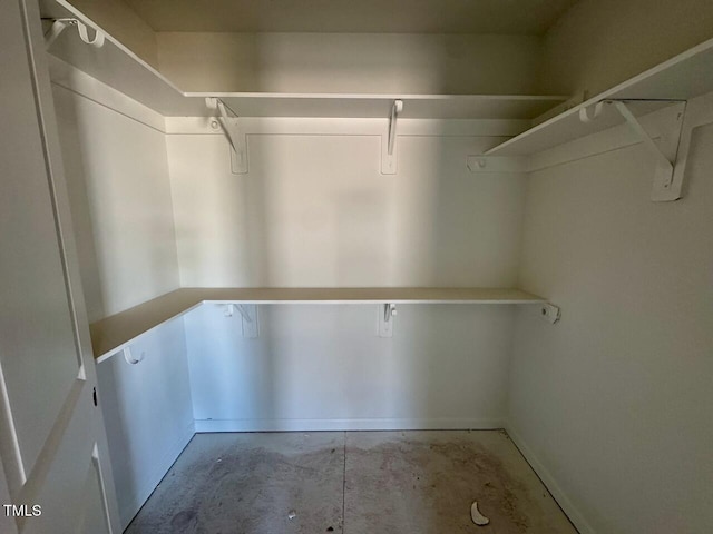 view of spacious closet