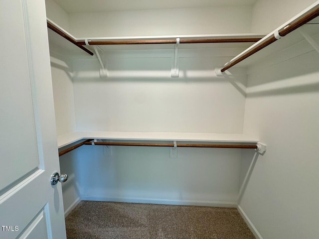45 Covey Rise Way, Lillington, NC 27546 - spacious closet featuring carpet