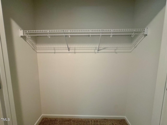 45 Covey Rise Way, Lillington, NC 27546 - view of closet