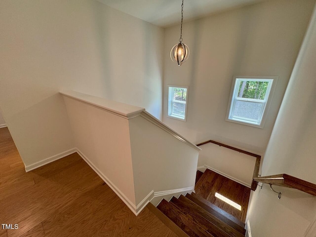 45 Covey Rise Way, Lillington, NC 27546 - stairs featuring wood finished floors