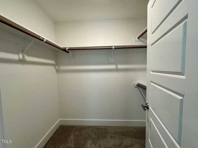 262 Grand Griffon Way, Lillington, NC 27546 - spacious closet featuring dark carpet