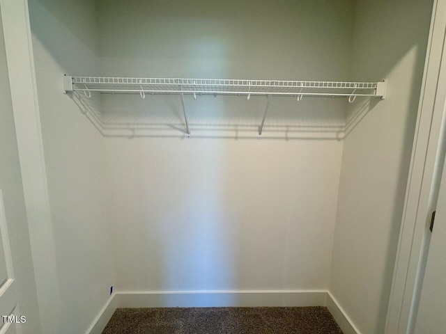 262 Grand Griffon Way, Lillington, NC 27546 - view of closet