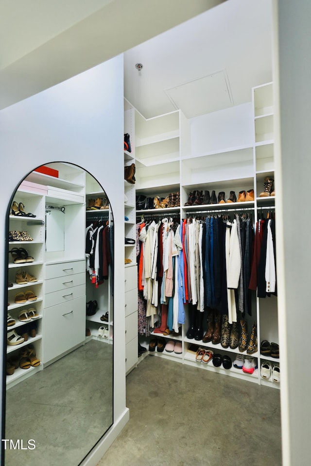 view of spacious closet