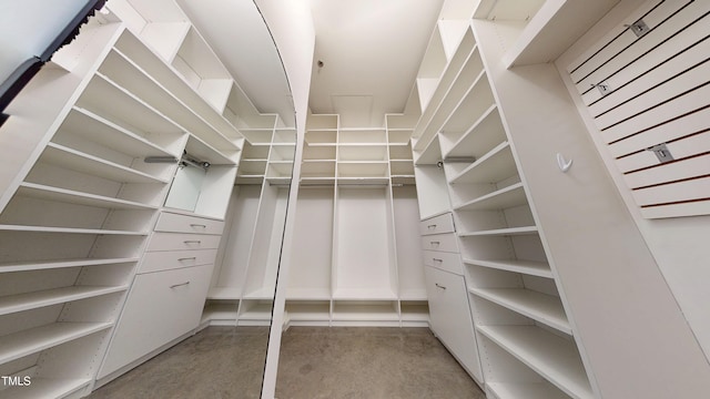 view of spacious closet