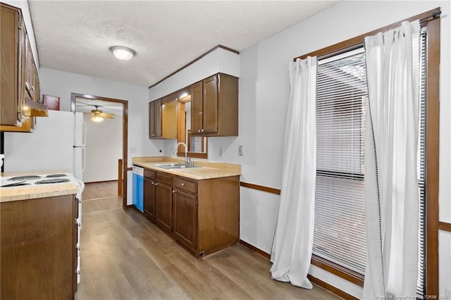 kitchen with white appliances, sink, light hardwood / wood-style flooring, ceiling fan, and a textured ceiling