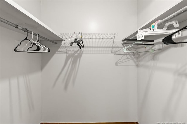 view of spacious closet