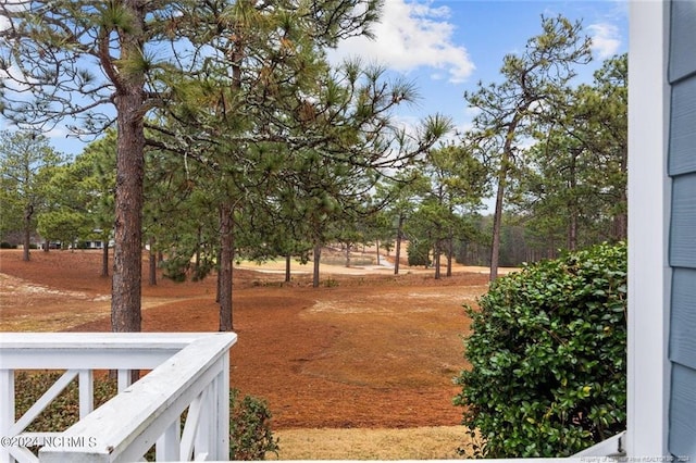 227 Knoll Rd, Southern Pines, NC 28387 - photo 17