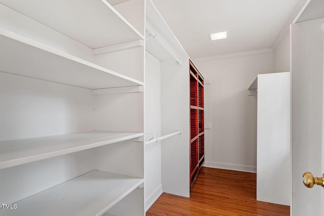 spacious closet with wood-type flooring