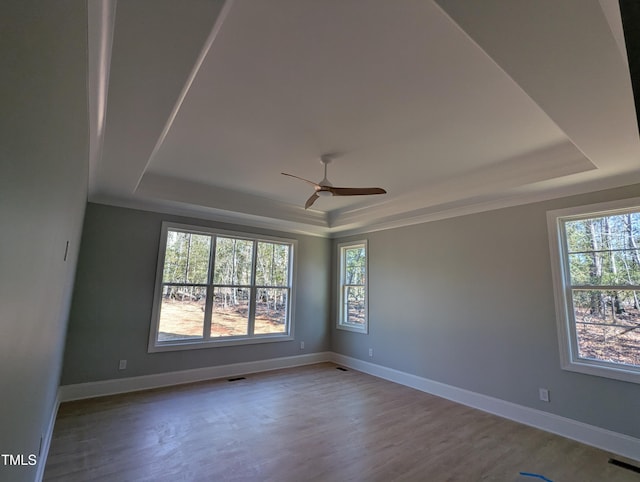 unfurnished room with a tray ceiling, wood-type flooring, and a wealth of natural light