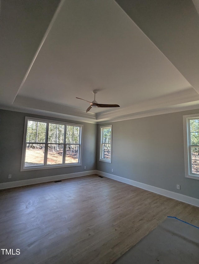 unfurnished room with a raised ceiling, a wealth of natural light, and hardwood / wood-style flooring