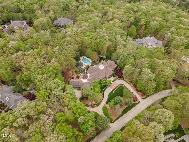 32520 Archdale Dr, Chapel Hill, NC 27517 - photo 5