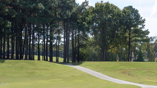 view of home's community featuring a yard