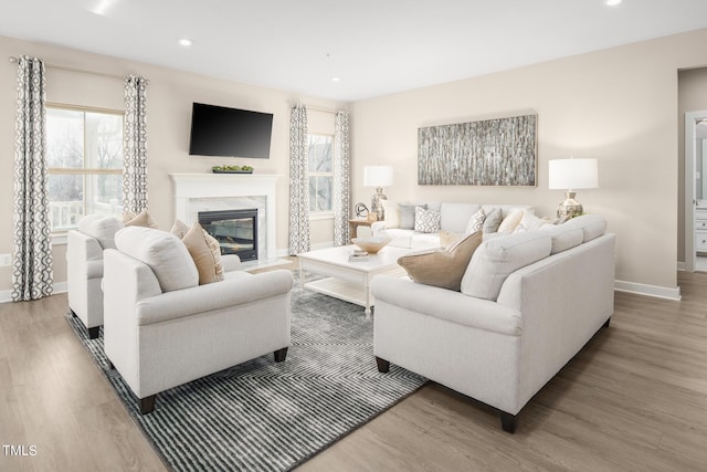 living room featuring wood-type flooring and a high end fireplace