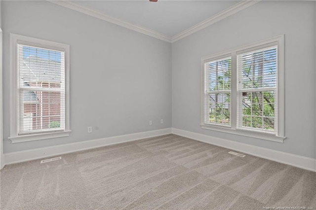 unfurnished room with carpet floors and ornamental molding