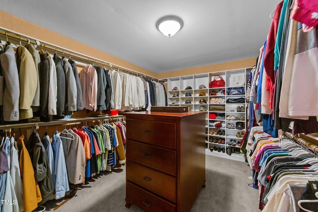 spacious closet featuring carpet floors