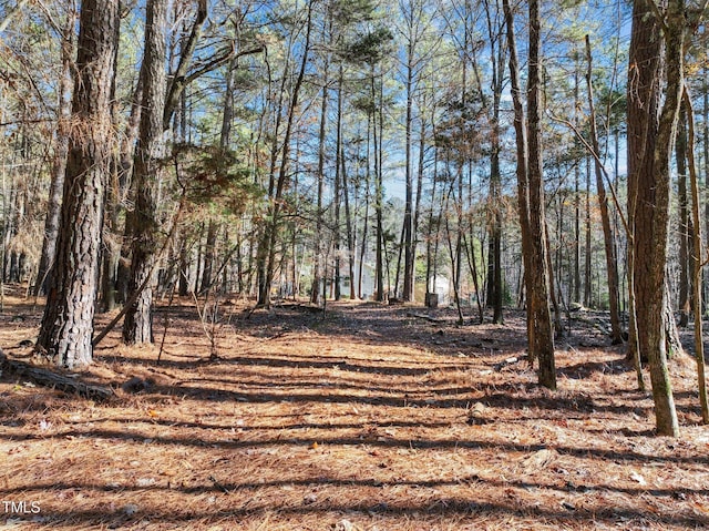 view of local wilderness