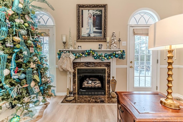 living area featuring a fireplace and light hardwood / wood-style floors